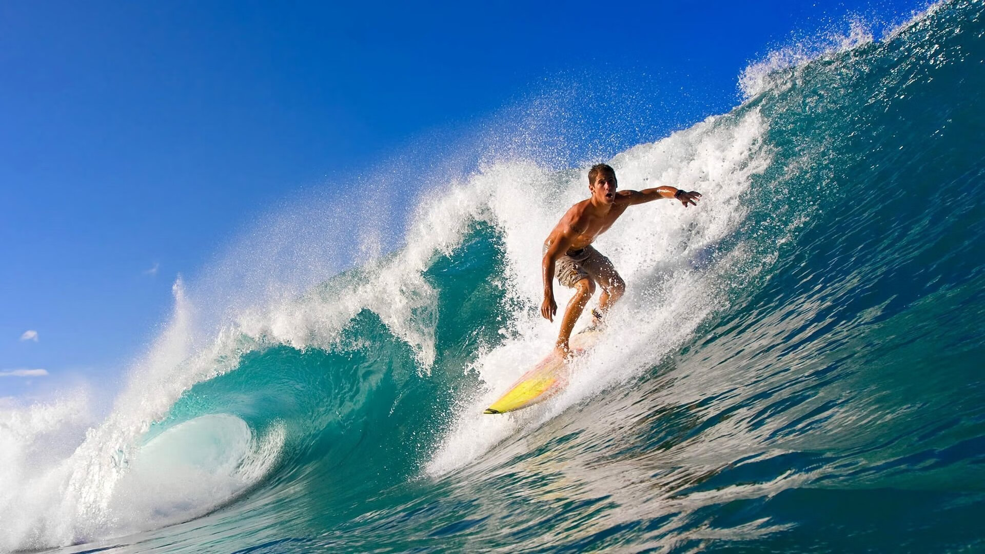 德甲青训项目视觉注意力训练提升空间感知能力的应用，视觉注意力训练_视觉追踪